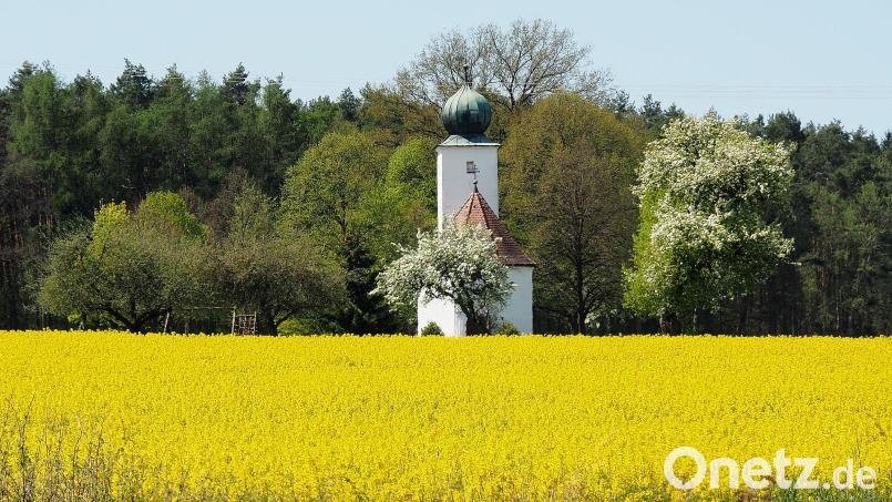 Es wird warm am Wochenende. Archivbild: Alexander Unger