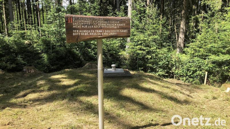 Versorgt wird Fuchsmühl auch mit Wasser aus dem &quot;Steinernen Brünnerl&quot; im Naturpark Steinwald. Die Quelle lieferte im vergangenen Jahr 46.652 Kubikmeter und damit den Großteil des benötigten Wassers. Bild: wro