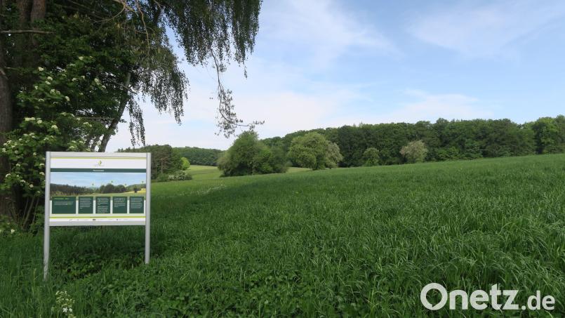 Wer auf der Hirschparkrunde (U5) wandert, kann die Panoramatafel in der Nähe der Finsterhüll bei Zant finden. Der Aussichtspunkt bietet eine gute Gelegenheit, den Blick in die Ferne schweifen zu lassen, die Panoramatafel informiert über das Umfeld. Bild: Verena Baumer/exb
