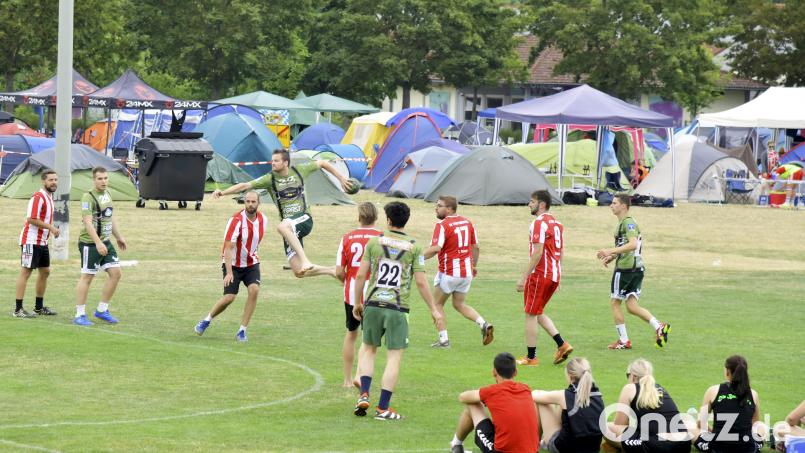 Das 30. Amberger Handballfestival 2018 der HG Amberg 

Bild: Ziegler Archivbild: Hubert Ziegler