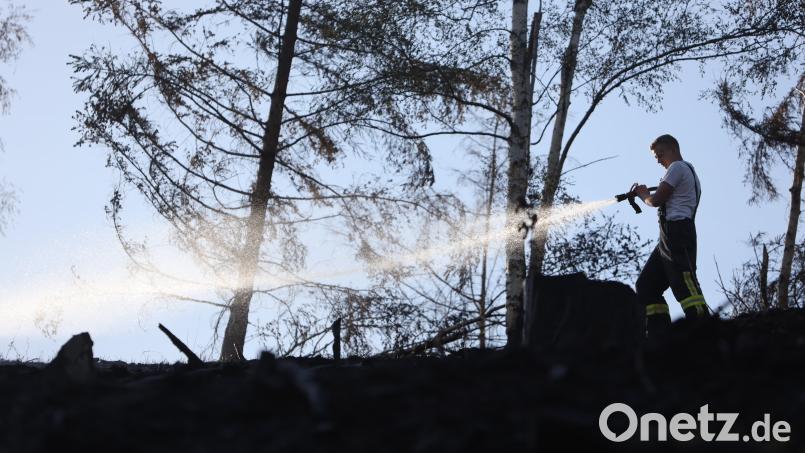 Um Szenen wie diese zu vermeiden, gibt es in der Oberpfalz in den nächsten Tagen Waldbrandluftbeobachtungen. Symbolbild: Matthias Bein / dpa