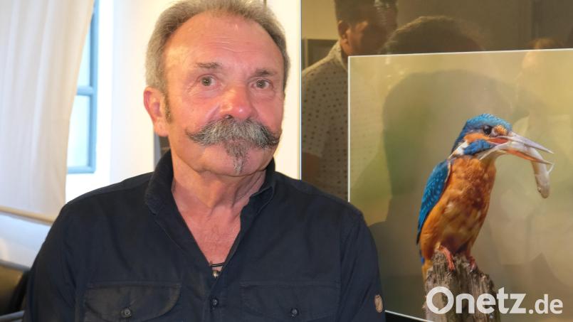 Tierfotograf Ansgar Forster und sein Lieblingsmotiv: Der Eisvogel beim Beutefang. Bild: Hirsch