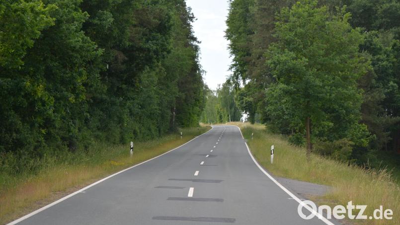 Auf der Kreisstraße TIR40 von Hofteich nach Leonberg kommt es vermehrt zu Wildunfällen. Jetzt beantragt die Gemeinde als ersten Schritt das Aufstellen von Wildwechsel-Warnschildern. Bild: jr