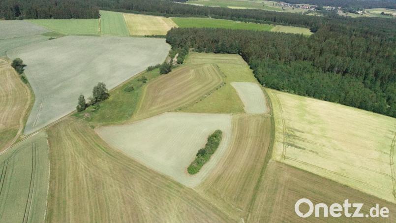 Die grau erscheinende Fläche in der linken oberen Bildhälfte wird als Solarpark &quot;Am Hardt&quot; ausgewiesen werden. An der rechten oberen Grundstücksecke grenzt das Schulbiotop an. Im Hintergrund (rechts) ist der Ortsteil Schwand zu erkennen. Bild: bey