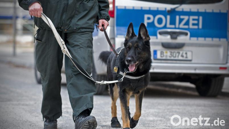 Mit Hunden wurde das Schulgelände in Ebersdorf durchsucht. Symbolbild: Jan-Philipp Strobel/dpa