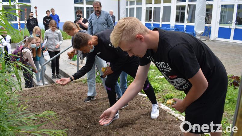 Die Aussaat der Samenkörner will gelernt sein. Wildlebensraumberater Balduin Schönberger zeigte den Schülern der Naabtal-Realschule, wie es richtig gemacht wird. Bild: bnr