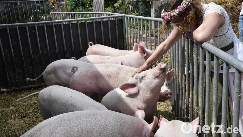 Annalena Brams, die bayerische Bio-Königin, war zu Besuch auf dem Biohof Kunert in Erkelsdorf (Neukirchen/Landkreis Amberg-Sulzbach). Bild: Petra Hartl