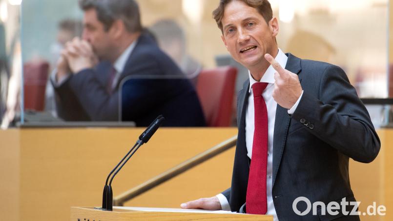 AfD-Politiker Ingo Hahn spricht im bayerischen Landtag. Bild: Sven Hoppe