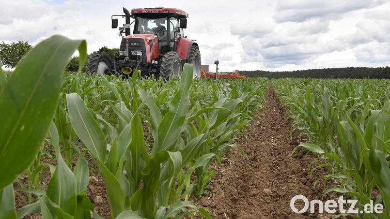 Auf dem Feld von Florian Weiß war vor kurzem ein Lohnunternehmer, der den Acker mit seinen Gerätschaften umhackte. Ein bis drei Hektar schafft der Fahrer in der Stunde. Bild: Petra Hartl