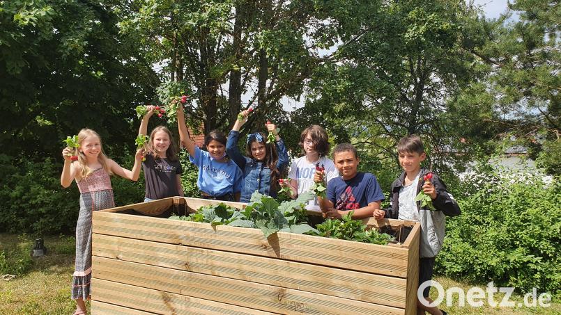 Das Freizeitangebot der Offenen Ganztagsschule ist vielfältig. Zum Jahresproramm gehörte auch die Anlage eines Kleingartens und der Aufbau eines Hochbeetes. Bild: do