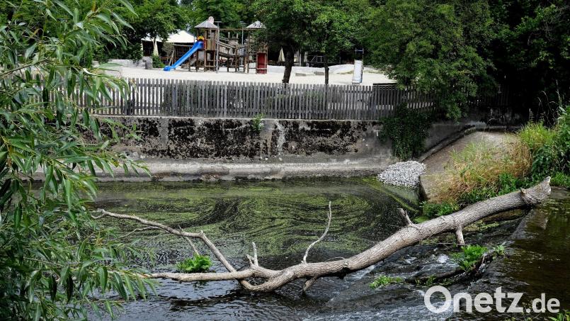 Rund um das Tivoli-Wehr der inneren Naab will die Stadt die Aufenthaltsqualität verbessern. Auch der Spielplatz im Stadtpark (Hintergrund) soll aufgewertet werden. Bild: Hirsch