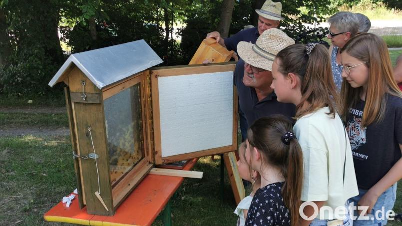 Starker Andrang herrschte beim Imkerfest in Eslarn am Bienenschaukasten und an den Bienenstöcken. Bild: gz