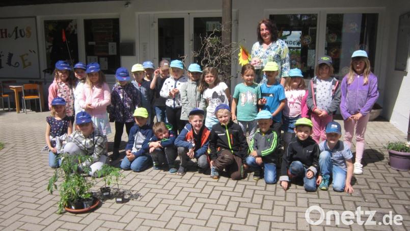 Der Obst- und Gartenbauverein Kulmain überraschte das Kinderhaus Mobile mit einer Spendenaktion. Vorstandmitglieder brachten 30 vorgezogene Tomatenpflanzen für die Vorschulkinder mit. Bild: Gemeinde Kulmain/exb