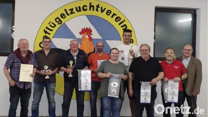 Der Geflügelzuchtverein 1880 Kümmersbruck-Amberg nimmt Auszeichnungen vor (von links): Gerhard Desat, Stephan Meiler, Oswald Jobst, Denis Koller, Melanie Kopezki, Simon Bladeck, Vorsitzender Josef Schlegl, Franz Hierl und Dritter Bürgermeister Hubert Blödt. Bild: Tanja Bladeck/exb