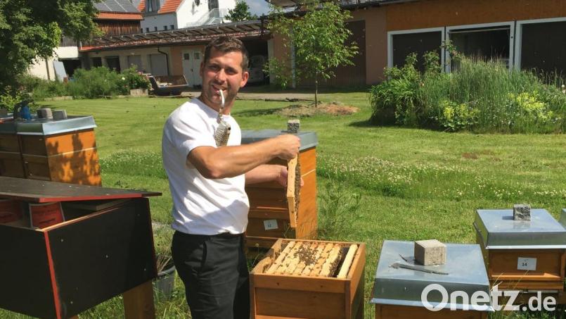"Für mich ist es ein wunderschönes Hobby" sagt Christian Witt, der die Imkerei ganz professionell betreibt. Bild: bk