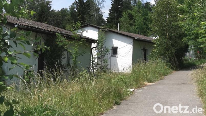 22 Bungalows gibt es am Gelände der Nature Community in Schönsee. Die Renovierung der früheren Jagdgäste-Unterkünfte von St. Hubertus läuft. Bild: Portner