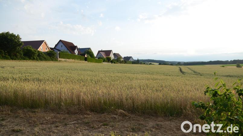In Verlängerung der Clara-Schumann-Straße entsteht entlang der vorhandenen Häuserreihe das neue Baugebiet bei Kirchenlaibach. Bild: ak