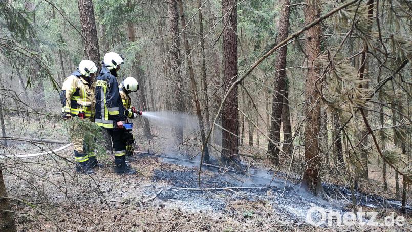 Feuerwehrmänner halfen dabei, den potenziellen Waldbrand bei Naslitz zu löschen. Bild: lgc