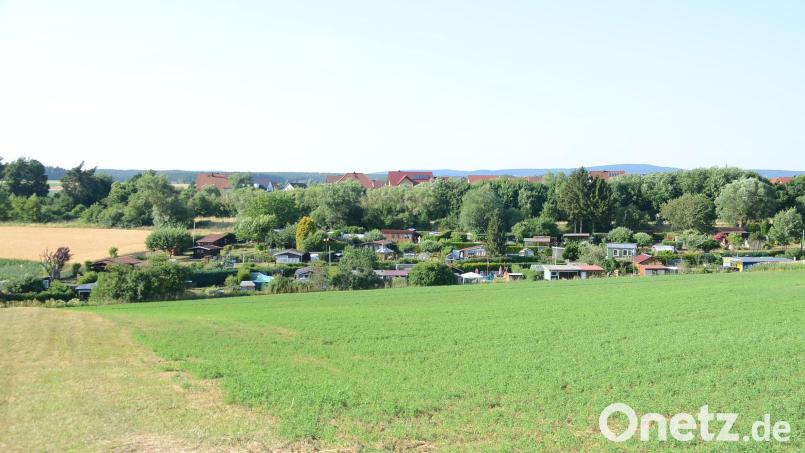 Das Grundstück für weitere Schrebergärten zwischen Kirchenlaibach und Windischenlaibach schließt sich unmittelbar an die bestehende Anlage (Hintergrund) an. Bild: ak