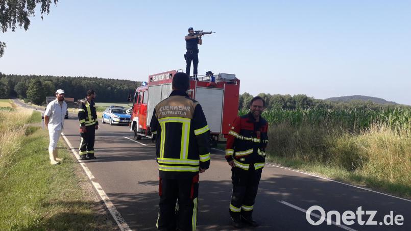 Mit einem G3-Gewehr wurde der Stier getötet. Bild: Stephanie Bucher