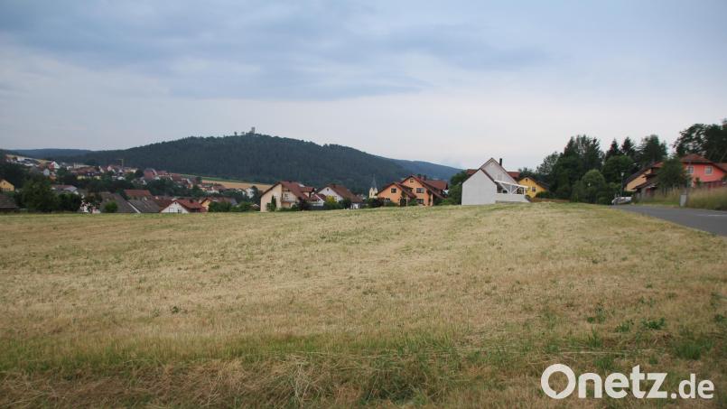 Das neue Baugebiet „Am Tradl“ wird noch in diesem Jahr von der Baufirma Wagner aus Waldmünchen erschlossen und dürfte mit seiner Lage inklusive „Burgblick“ auch schnell Bauwerber finden. Bild: frd