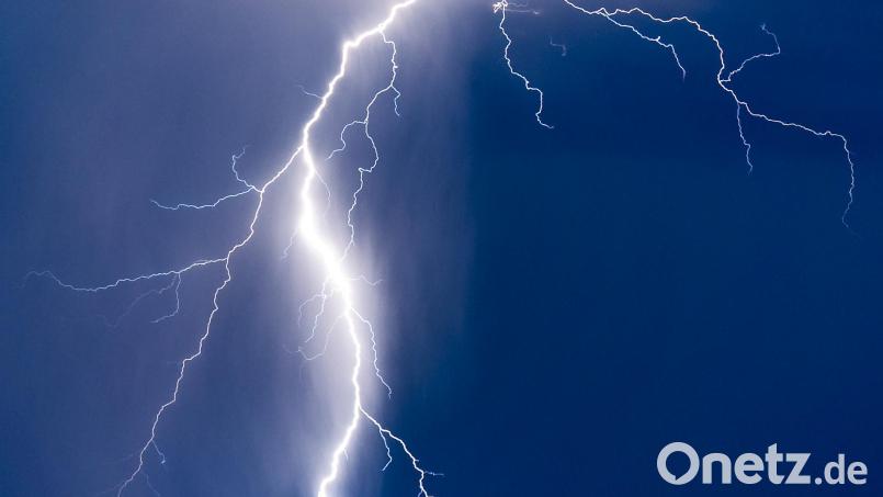 Beide Menschen und mindestens einer der beiden Hunde wurden verletzt. Nach dem zweiten Hund wird noch gesucht. Symbolbild: Patrick Pleul