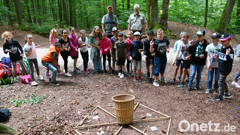 Leitender Forstdirektor Harald Gebhardt (hinten, rechts) mit Teilnehmern der Waldjugendspiele am Mariahilfberg beim Tannenzapfenzielwerfen. AELF-Mitarbeiter Stefan Binner (hinten, links) verstand es, die Kinder für den Wald zu interessieren. Bild: gf