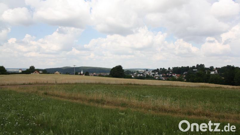 Noch wachsen auf der Schwarzleite Korn und Gras. In einigen Jahren sollen hier Häuser stehen. In der Stadtratssitzung verweist Bürgermeister Stangl auf bereits erstellte Unterlagen zur künftigen Erschließung. Von einer &quot;lässigen&quot; Planungsarbeit könne aber keine Rede sein. Bild: bjp