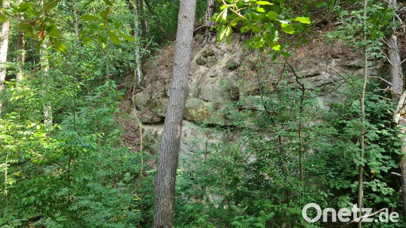Das Areal des alten Steinbruchs nördlich der Felsmühlstraße wäre ein möglicher Alternativstandort für den Urnenwaldfriedhof gewesen. Bild: sne