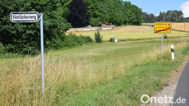 Der Bebauungsplan für das Wochenend-Gebiet Köstläcker in Mendorferbuch scheint eine unendliche Geschichte. Wegen der mangelnden Bereitschaft einiger Eigentümer, Grundstücksflächen für den Straßenausbau abzugeben, ist dieses Vorhaben immer wieder gescheitert. Bild: bö