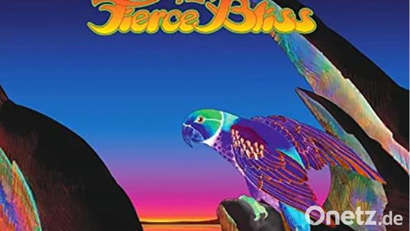 Ann Wilson: Fierce Bliss (Silver Lining) Bild: Silver Lining