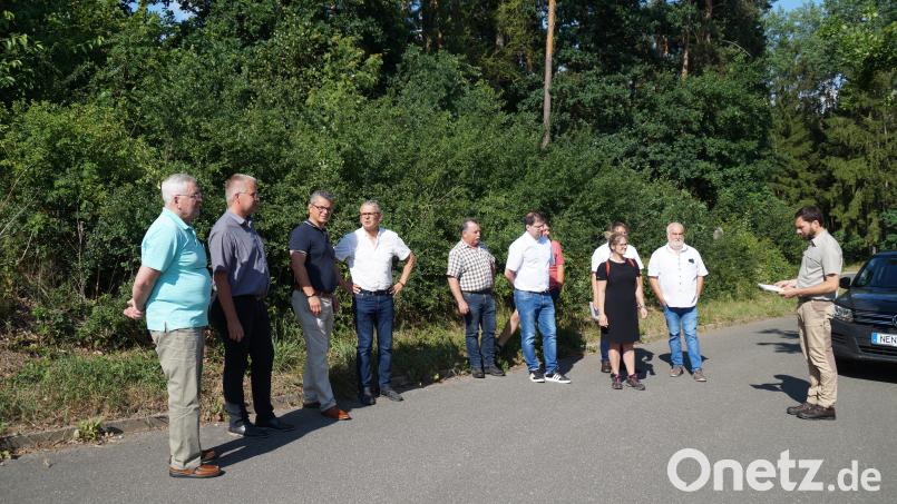 Forstrevierleiter Jörg Maderer gab den Stadträten einen Sachstandsbericht zum Spitalwald Bild: wel