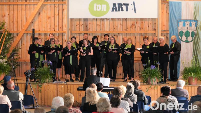 Der gemischte Chor "tonART" tritt zusammen mit seinem Leiter Christoph Pausch am E-Piano auf. Bild: fvo