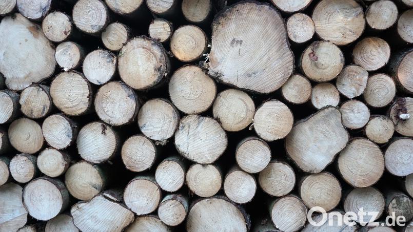 Die Baugenehmigung für einen Holzlagerplatz bei Eslarn ist im Marktgemeinderat umstritten. In der jüngsten Sitzung stimmte eine Mehrheit dafür, die bislang ablehnende Haltung aufzugeben. Das Landratsamt Neustadt/WN will die Genehmigung unter bestimmten Auflagen erteilen. Symbolbild: jut