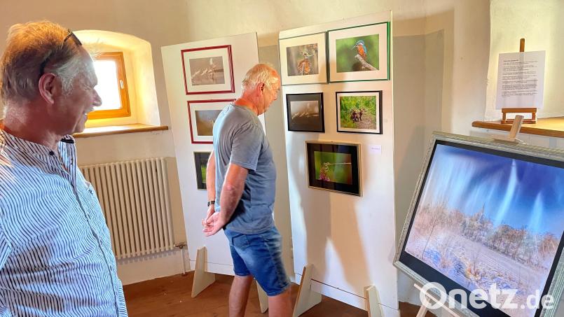 Im Obertor stellen bis 19.September regionale Künstler ihre Arbeiten aus. Bild: Marko Pammer/exb