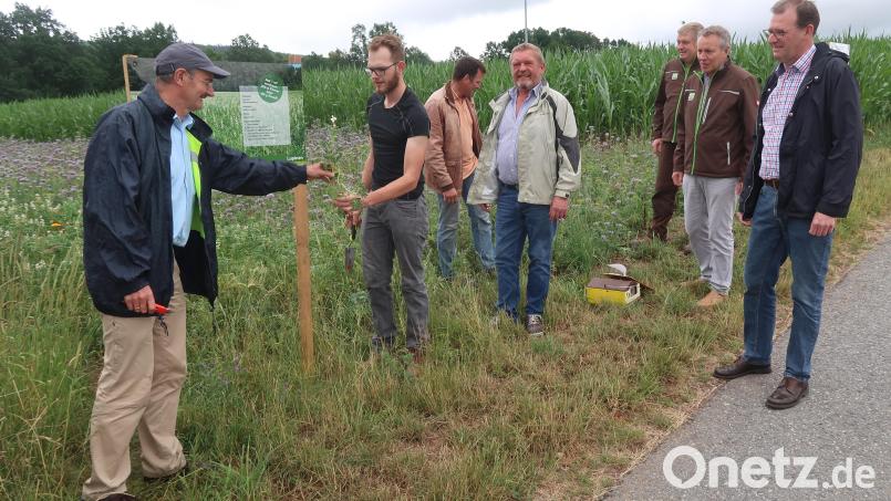 Gerhard Gradl (rechts) erläutert BBV-Kreisobmann Josef Fütterer und dem Chef der Katholischen Erwachsenenbildung, Peter Schönberger, die Streckenführung des landwirtschaftlichen Infopfades vom Almesbach nach Tröglersricht. Bild: Kunz