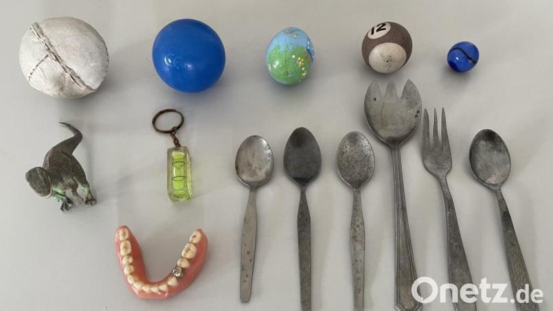 Besteck, ein Spielzeug-Dino, verschiedene Bälle, Osterschmuck, Murmeln und ein Gebiss mit Goldzahn fand Andreas Kropf schon in der Kläranlage in Krummennaab. Bild: Andreas Kropf