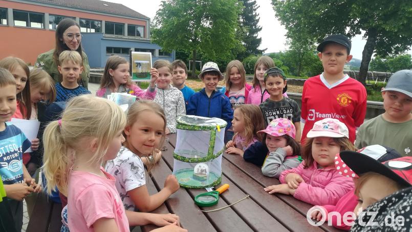 Die "Dienstags-Einsteins" des Winklarner Kindergartens waren zu Gast in der Grundschule u nd beschäftigten sich mit Schmetterlingen. Bild: Renate Bauer/exb