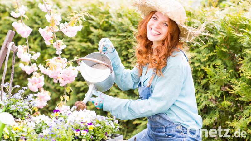 Schon einige Minuten im Grünen reichen aus, um unsere Laune erheblich zu verbessern. Bild: Diana Drubig - stock.adobe.com
