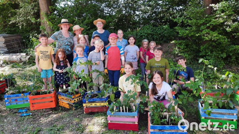 Reiche Ernte für den Gartler-Nachwuchs des Obst- und Gartenbauvereins Raigering/Aschach Bild: Gerda Eiber