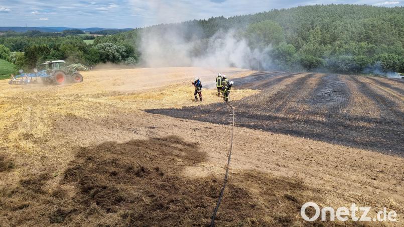Zu zahlreichen Flächenbränden - wie hier bei Friedersdorf am Mittwoch - werden die Feuerwehren im Landkreis Schwandorf derzeit gerufen. Bild: Feuerwehr Wernberg/exb
