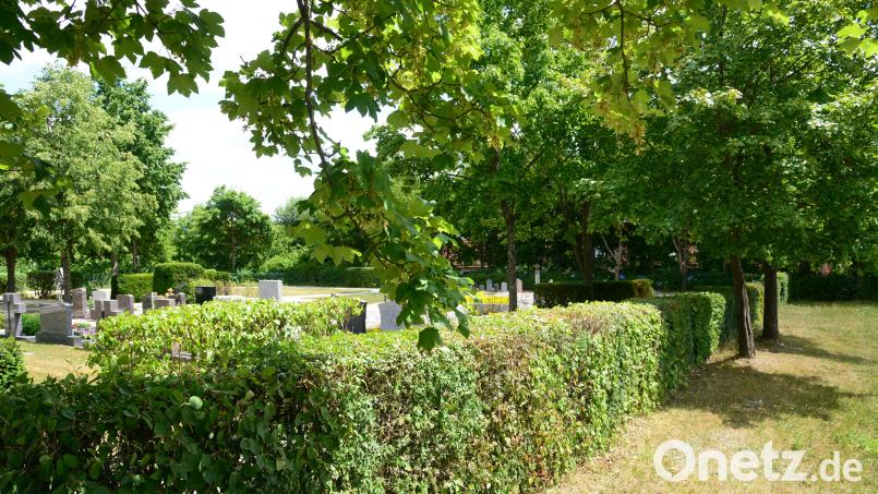 Die Thujenhecke wird beim Bau der Friedhofsmauer verschwinden, ob die Bäume erhalten bleiben, ist fraglich. Die neue Friedhofsmauer soll aus Granit erstellt werden und eine maximale Höhe von 1,50 Meter haben. Mit der genauen Planung wird ein Fachbüro beauftragt. Bild: bey