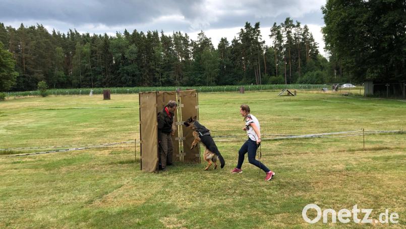 Vorsitzender Jürgen Schwarz und seine Stellvertreterin Anja Hölzl beim Training mit einem Schäferhund. Bild: mis