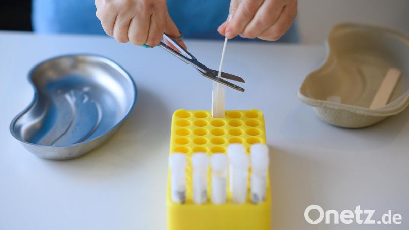 Proben für einen Coronatest. Im Landkreis Tirschenreuth gab es innerhalb einer Woche 734 positive Coronatests. Symbolbild: Bernd von Jutrczenka/dpa