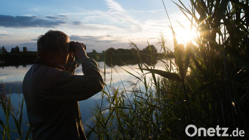 Unverzichtbar für die Vogelbeobachtung ist ein gutes Fernglas. Bild: Klaus-Dietmar Gabbert