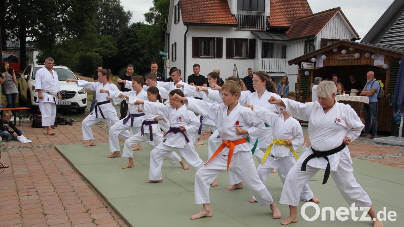 Bei allen größeren Festen und Feiern ist der Karateverein Genbukan Oberviechtach dabei. Hier demonstrieren Karatesportler beim Bürgerfest ihr Können. Bild: frd