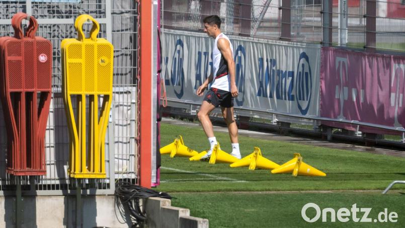 Der Wechsel von Robert Lewandowski zum FC Barcelona steht wohl fest. Bild: Sven Hoppe/dpa