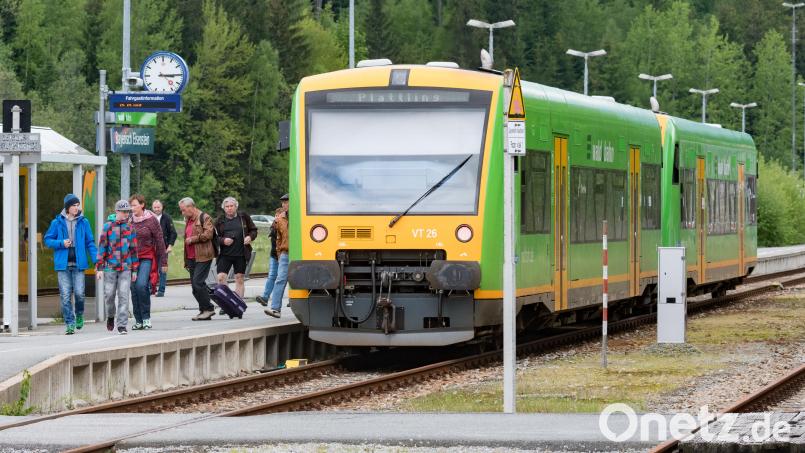 Bei Viechtach ist ein Mann von der dort verkehrenden Waldbahn erfasst worden. Archivbild: Armin Weigel