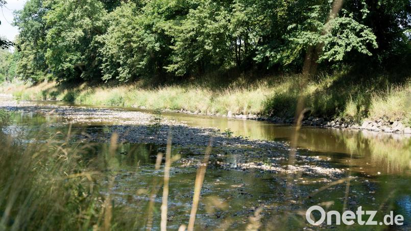 Wenig Wasser im Flutkanal in Weiden – und momentan in vielen anderen Gewässern. Das ist das Ergebnis der aktuellen Hitze- und Trockenperiode. Bild: Marina Gube