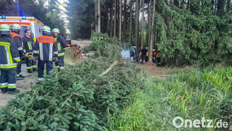 Ein Auto kam am Samstagabend bei Lauterbach (Marktgemeinde Mähring) von der Fahrbahn ab und prallte gegen einen Holzstapel und einen Baum. Der Fahrer musste von der Feuerwehr aus dem Wrack befreit werden. Bild: rw